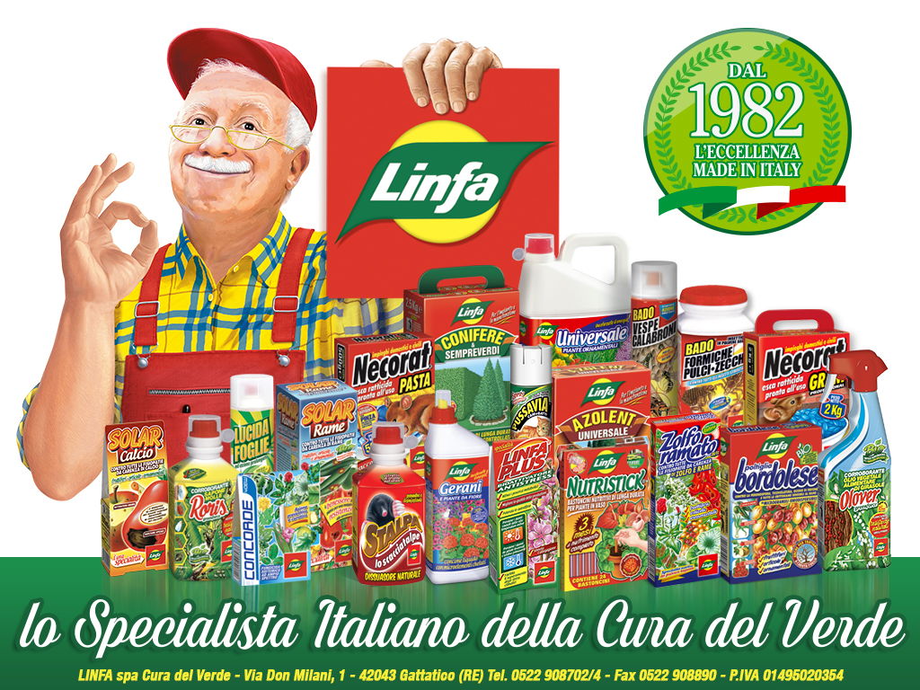 Linfa - Prosimamente online